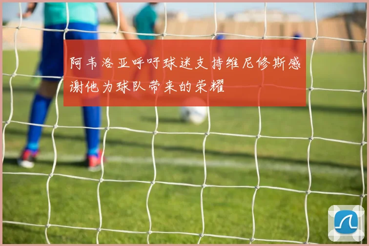 阿韦洛亚呼吁球迷支持维尼修斯感谢他为球队带来的荣耀