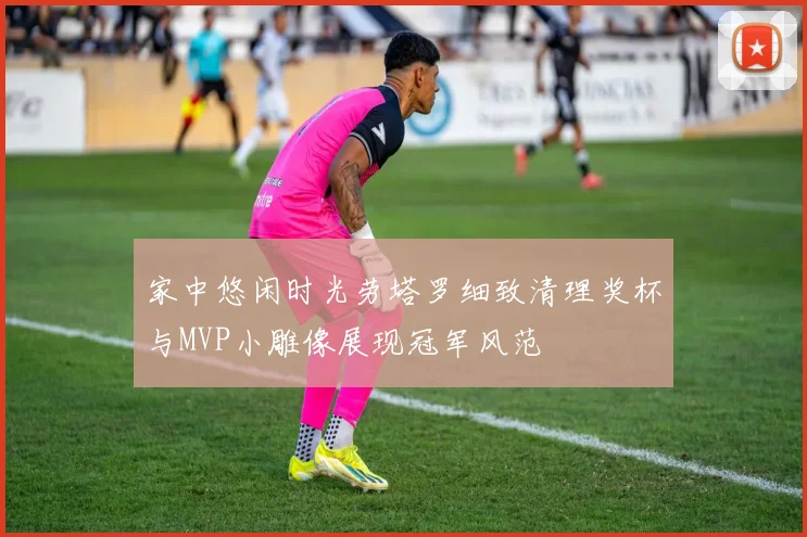 家中悠闲时光劳塔罗细致清理奖杯与MVP小雕像展现冠军风范