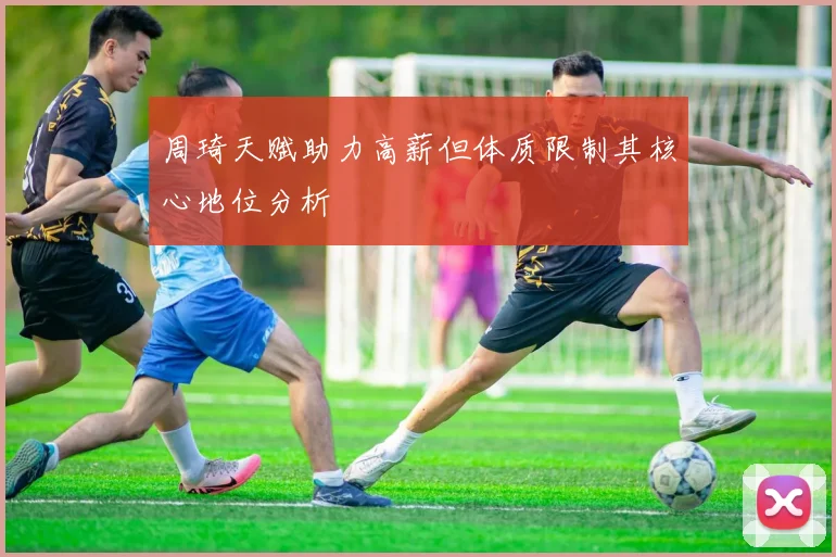周琦天赋助力高薪但体质限制其核心地位分析